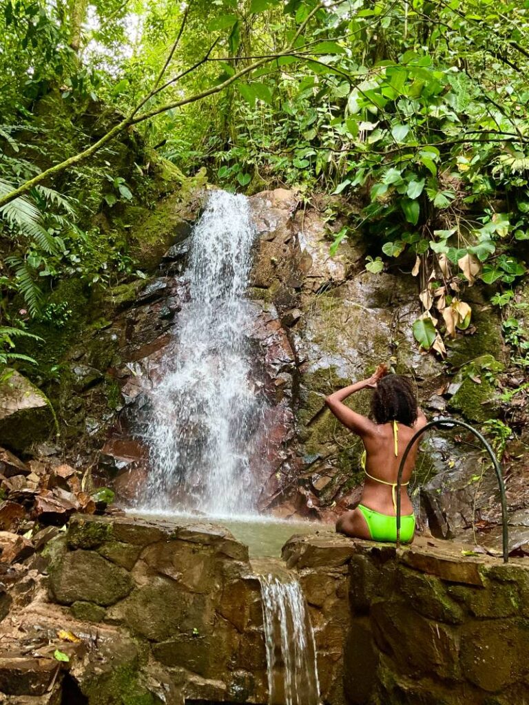 Jungle Awakening — Dharma Vida