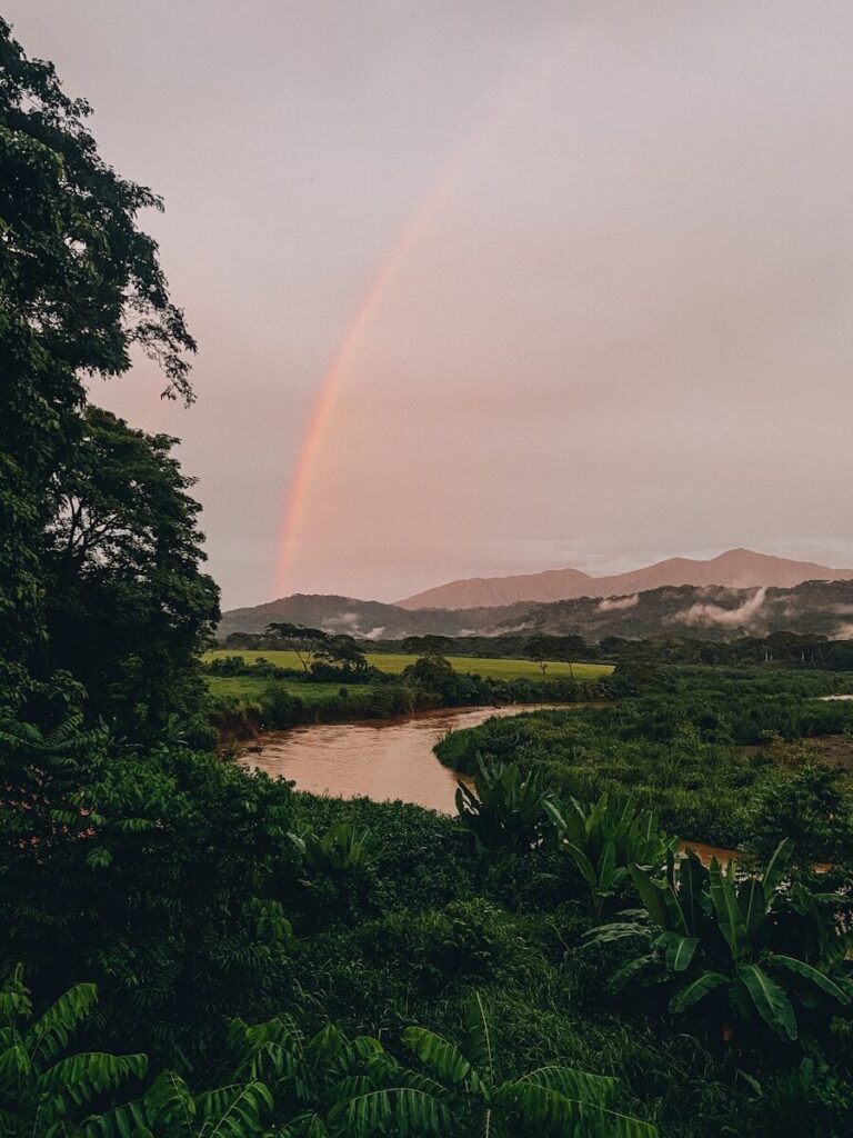 Costa Rica for Wellness Travellers: Why the Jungle Heals