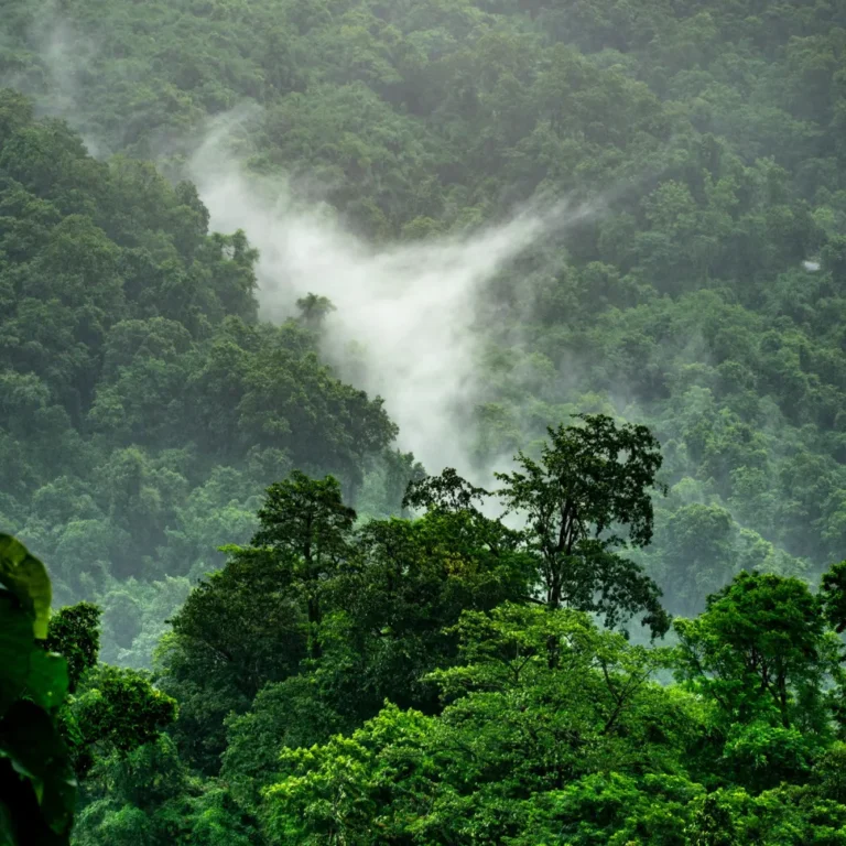 Wild Pacific coastline near Calamocha Lodge on the Nicoya Peninsula, Costa Rica