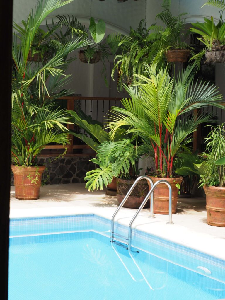 Swimming pool with rainforest views at Hacienda Las Vainillas