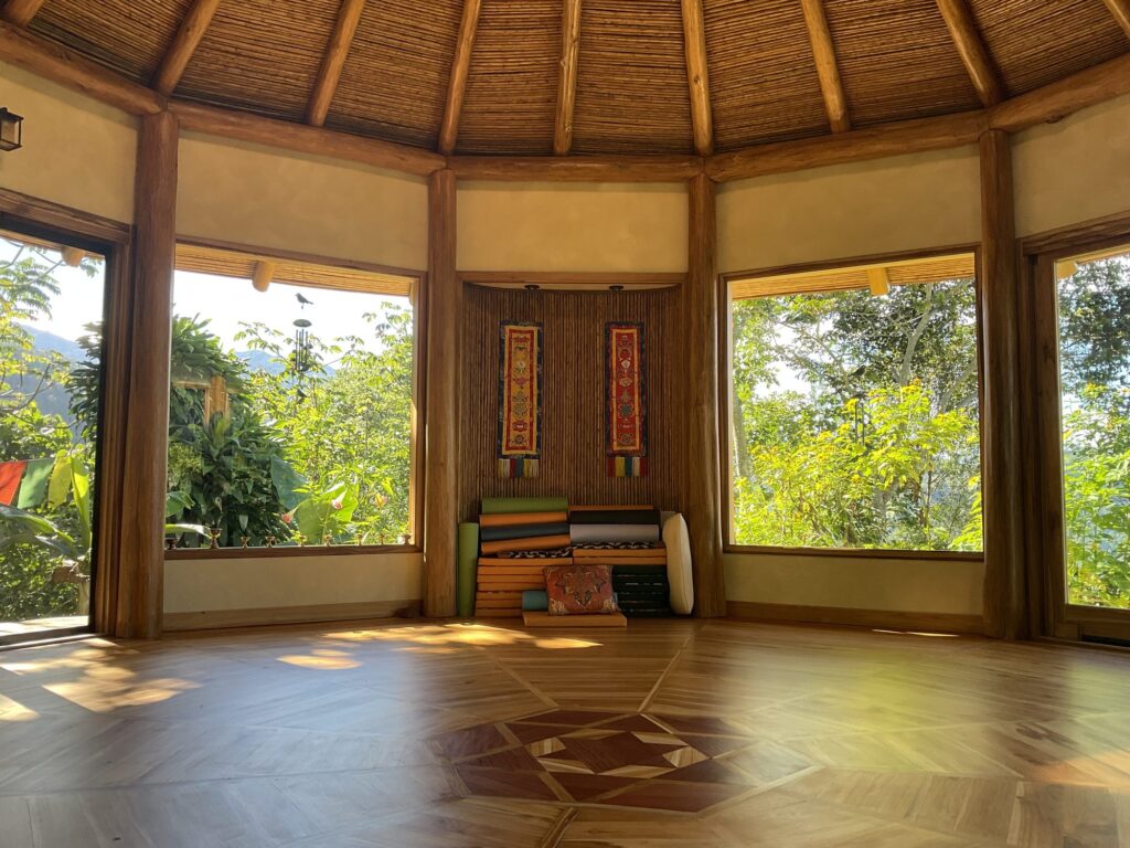 Dharma Vida — Move. Breathe. Feel Alive.
