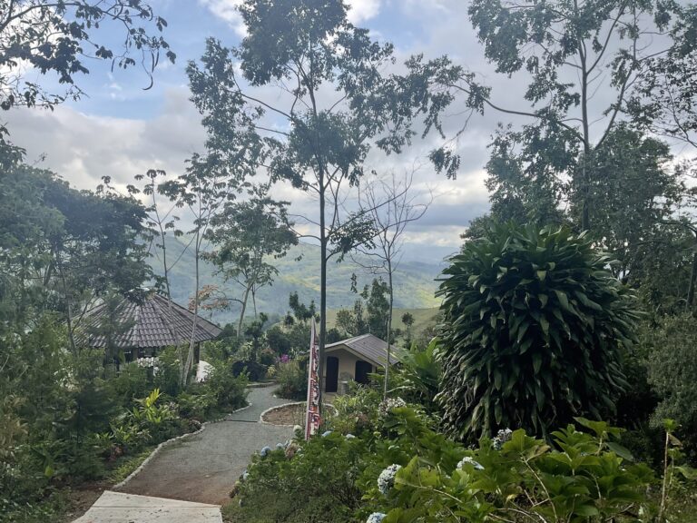 Garden trail leading to the zen pond and temple above the Chirripó Valley, Costa Rica