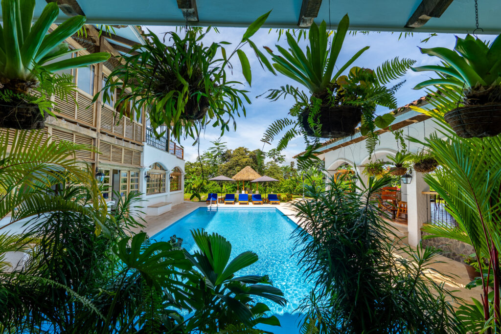 The 100 m2 pool surrounded by palms and hanging ferns, Hacienda Las Vainillas Costa Rica