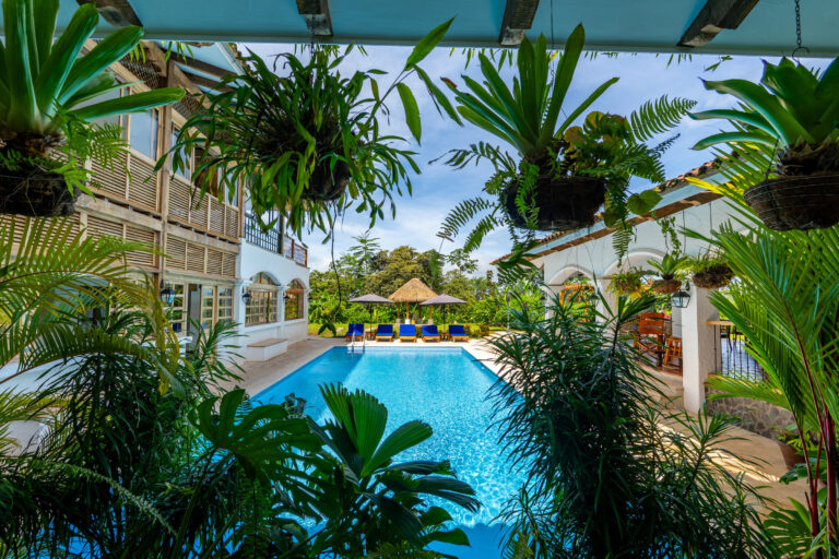 The 100 m2 pool surrounded by palms and hanging ferns, Hacienda Las Vainillas Costa Rica