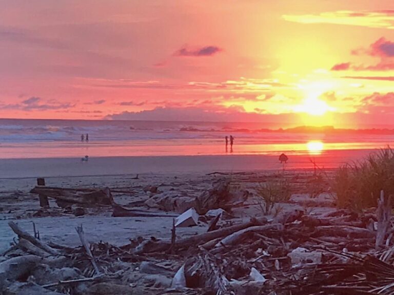 Fiery sunset over a driftwood-strewn beach, Nicoya Peninsula, Costa Rica