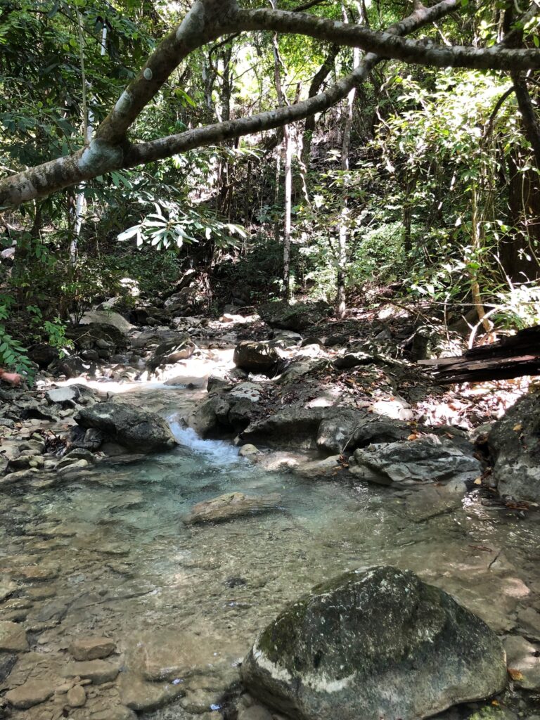 Clear jungle river flowing over smooth stones, Nicoya Peninsula, Costa Rica