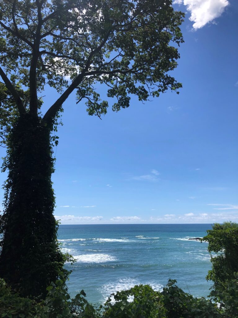 Pacific Ocean seen through the trees from the trail, Nicoya Peninsula, Costa Rica