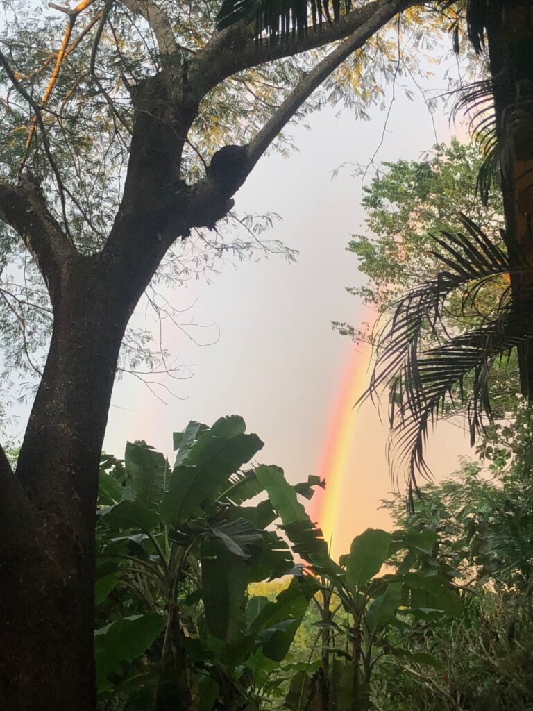 Rainbow over the jungle canopy at Calamocha Lodge, Costa Rica
